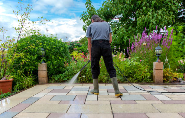 Best Animal Enclosure Cleaning  in Charlotte Harbor, FL